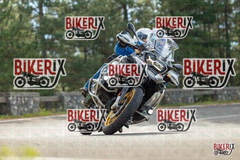 Passo del Muraglione 19-10-25 h11-21 0249