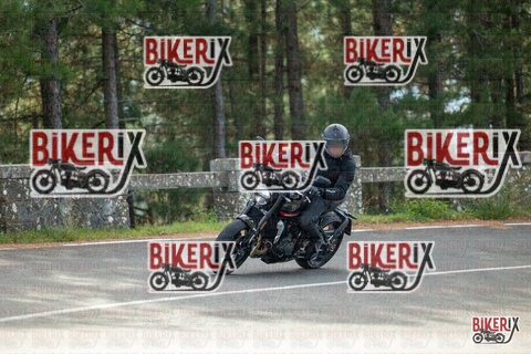 Passo del Muraglione 19-10-25 h11-21 0252