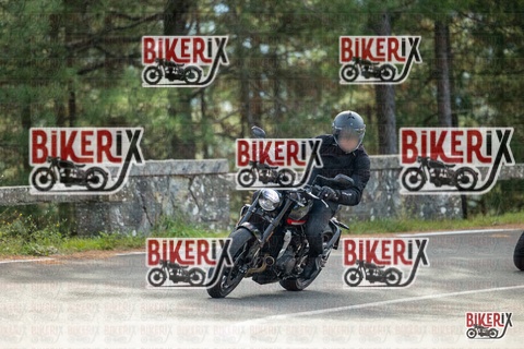 Passo del Muraglione 19-10-25 h11-21 0253