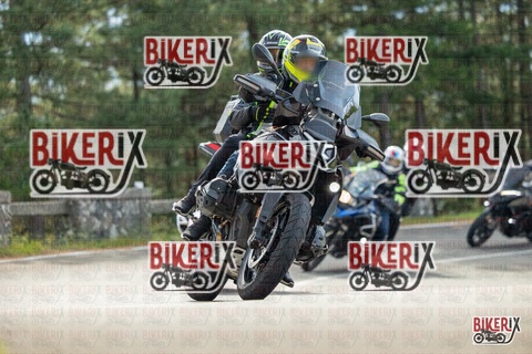 Passo del Muraglione 19-10-25 h11-21 0258