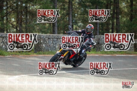 Passo del Muraglione 19-10-25 h11-22 0265