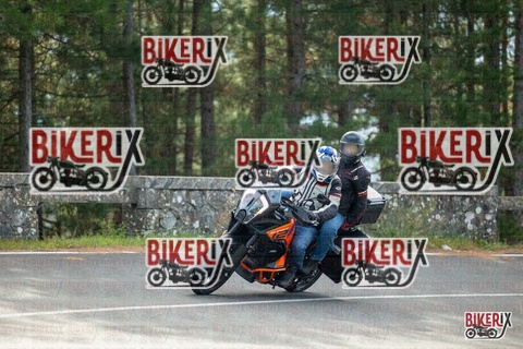 Passo del Muraglione 19-10-25 h11-22 0270