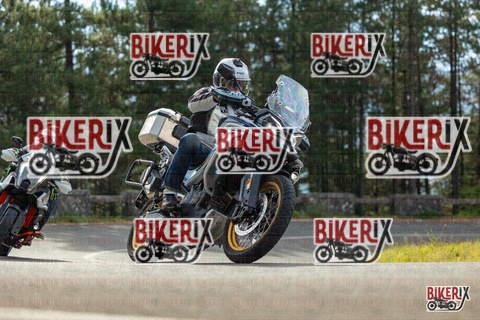 Passo del Muraglione 19-10-25 h11-22 0284