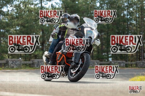 Passo del Muraglione 19-10-25 h11-22 0285