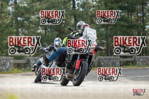 Passo del Muraglione 19-10-25 h11-22 0288