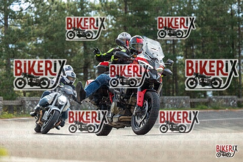 Passo del Muraglione 19-10-25 h11-22 0291