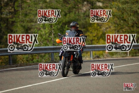 Passo del Muraglione 19-10-25 h11-24 0295