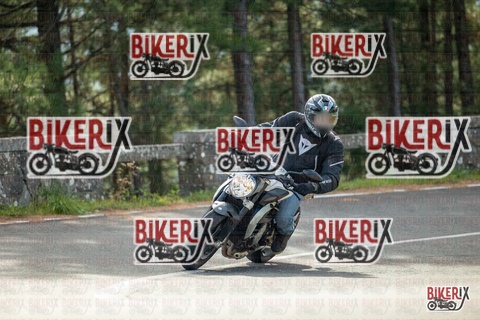 Passo del Muraglione 19-10-25 h11-25 0306