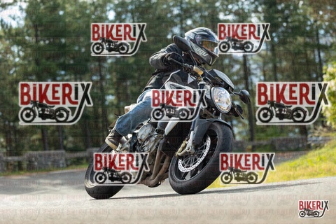 Passo del Muraglione 19-10-25 h11-25 0308