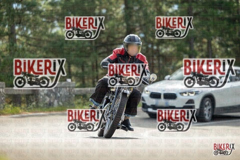 Passo del Muraglione 19-10-25 h11-26 0312