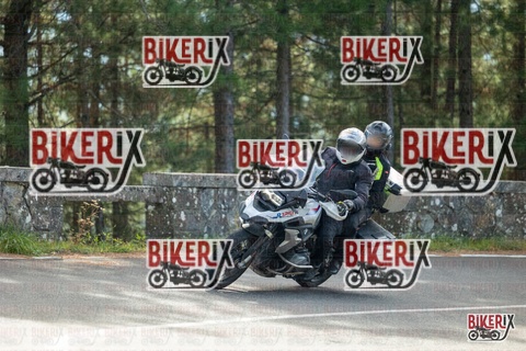 Passo del Muraglione 19-10-25 h11-30 0315