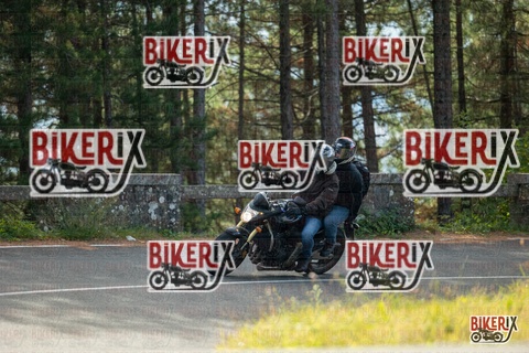 Passo del Muraglione 19-10-25 h11-30 0325