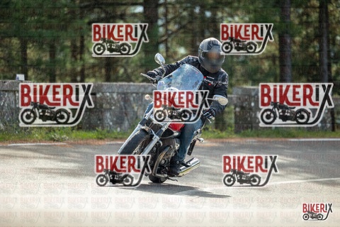 Passo del Muraglione 19-10-25 h11-32 0334