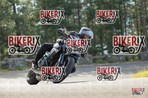 Passo del Muraglione 19-10-25 h11-40 0344