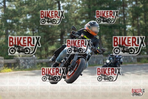 Passo del Muraglione 19-10-25 h11-40 0349