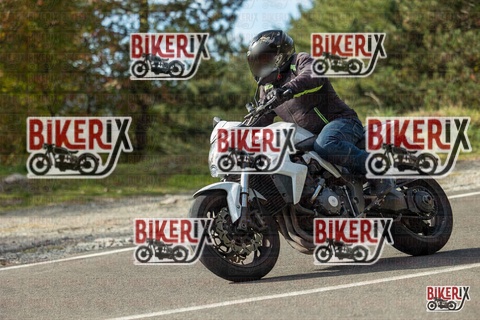 Passo del Muraglione 19-10-25 h11-42 0360