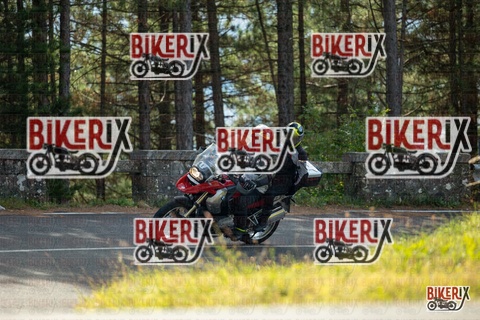 Passo del Muraglione 19-10-25 h11-44 0382