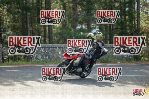 Passo del Muraglione 19-10-25 h11-44 0383