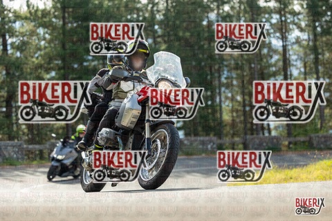 Passo del Muraglione 19-10-25 h11-44 0386