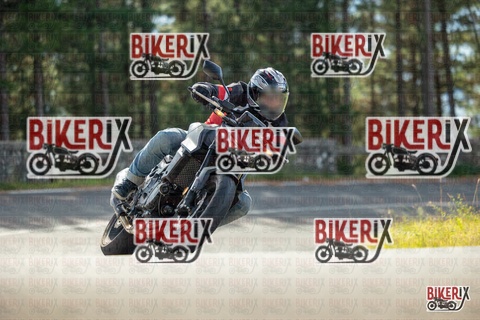 Passo del Muraglione 19-10-25 h11-47 0394