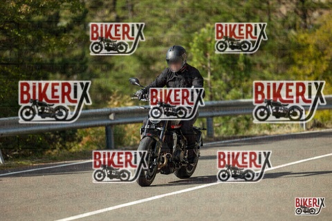 Passo del Muraglione 19-10-25 h11-49 0398