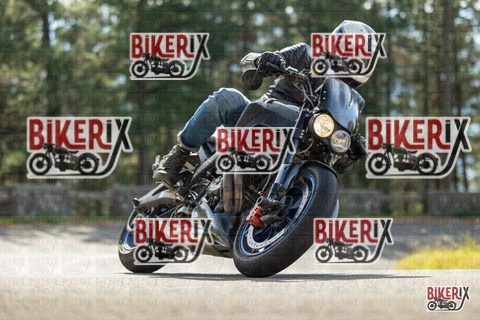 Passo del Muraglione 19-10-25 h11-51 0416