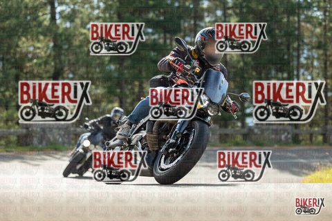 Passo del Muraglione 19-10-25 h11-52 0427