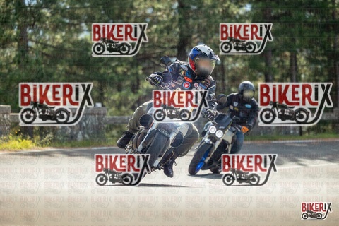 Passo del Muraglione 19-10-25 h11-52 0437