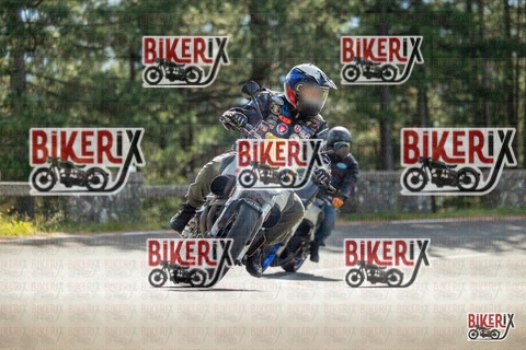 Passo del Muraglione 19-10-25 h11-52 0438