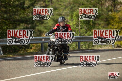 Passo del Muraglione 19-10-25 h11-55 0444