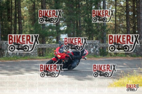 Passo del Muraglione 19-10-25 h12-00 0449