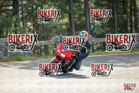 Passo del Muraglione 19-10-25 h12-00 0450