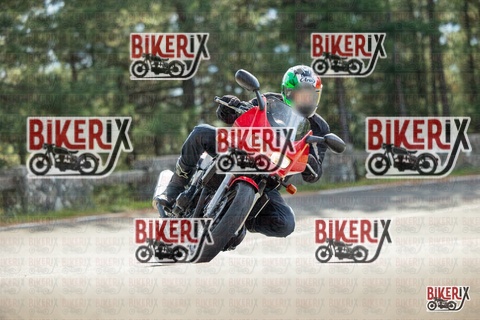 Passo del Muraglione 19-10-25 h12-00 0453