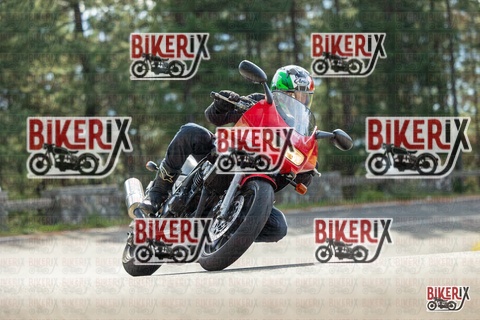 Passo del Muraglione 19-10-25 h12-00 0455