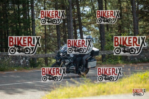 Passo del Muraglione 19-10-25 h12-01 0456