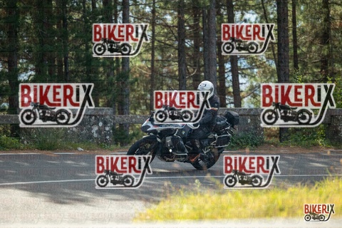 Passo del Muraglione 19-10-25 h12-01 0463