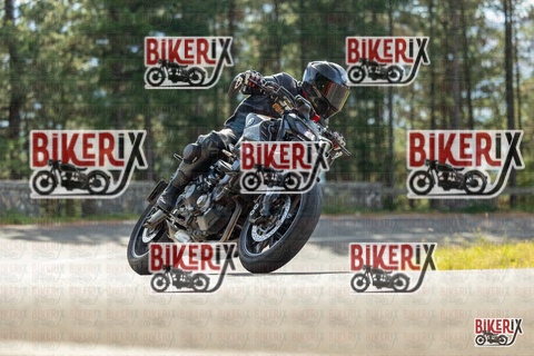 Passo del Muraglione 19-10-25 h12-01 0471