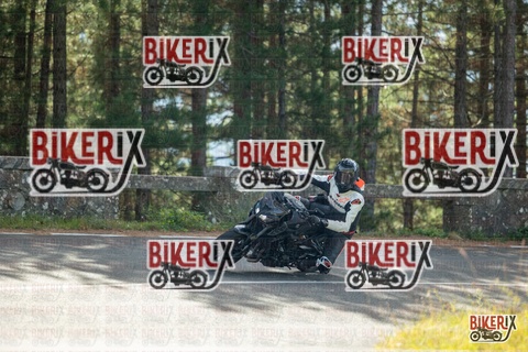 Passo del Muraglione 19-10-25 h12-05 0487