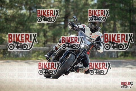 Passo del Muraglione 19-10-25 h12-05 0490