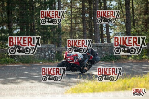 Passo del Muraglione 19-10-25 h12-10 0525