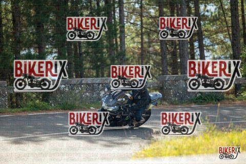 Passo del Muraglione 19-10-25 h12-14 0529