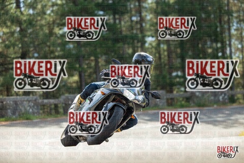 Passo del Muraglione 19-10-25 h12-14 0533