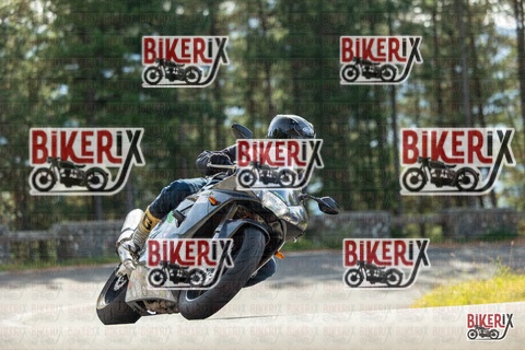 Passo del Muraglione 19-10-25 h12-14 0534