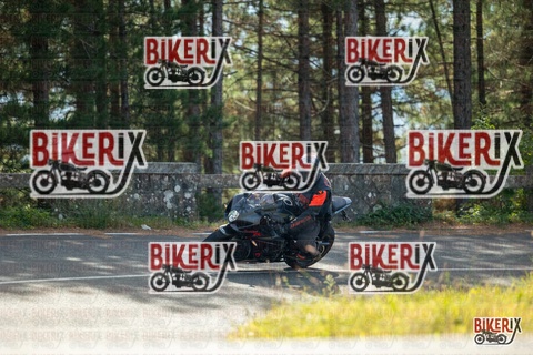 Passo del Muraglione 19-10-25 h12-14 0535