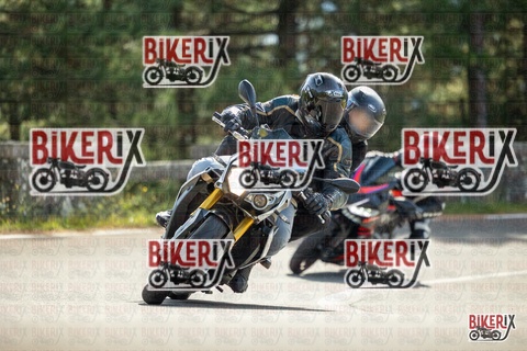 Passo del Muraglione 19-10-25 h12-14 0543