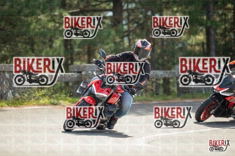 Passo del Muraglione 19-10-25 h12-14 0547