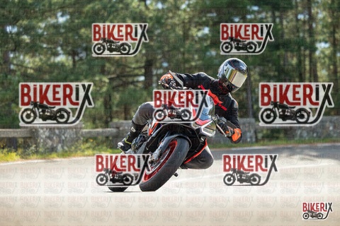 Passo del Muraglione 19-10-25 h12-14 0550