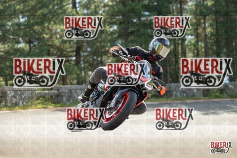 Passo del Muraglione 19-10-25 h12-14 0551