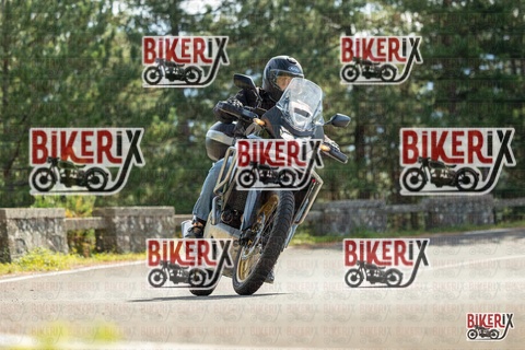 Passo del Muraglione 19-10-25 h12-20 0577