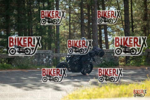 Passo del Muraglione 19-10-25 h12-21 0585